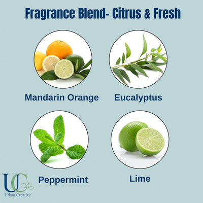 Natural Scented Wax Tablet - Orange, Peppermint & Eucalyptus - 1 or 2 – Candles & Fragrances on Brown Living™. SKU: UC - 58 / SWT_OPE. Img 5.