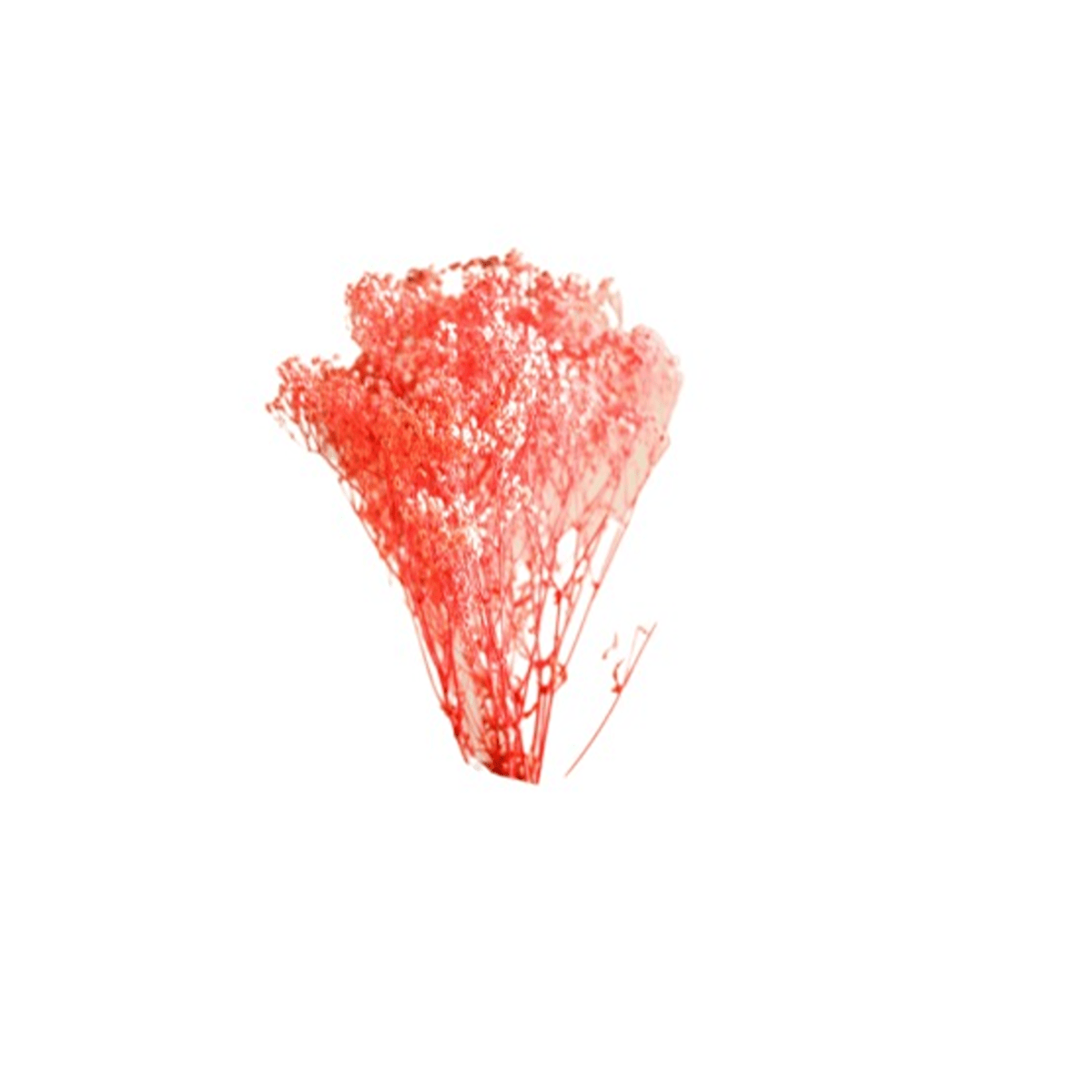 Naturally Dried Pastel Pink Baby Breaths – Decor & Artefacts on Brown Living™. SKU: DF-83. Img 1.