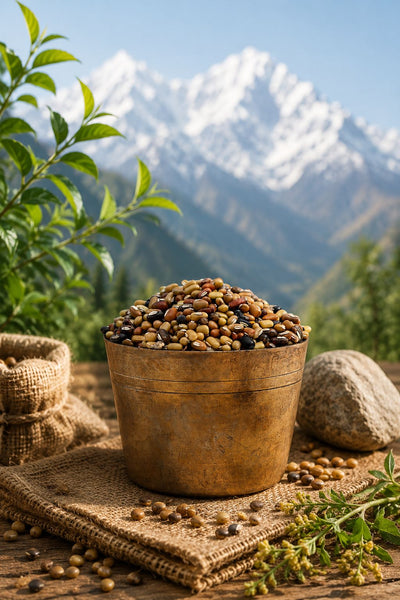 Navrangi Dal 500g – Mixed Protein Rich Healthy Lentil Blend – Cooking & Baking Supplies on Brown Living™. SKU: I00179. Img 1.