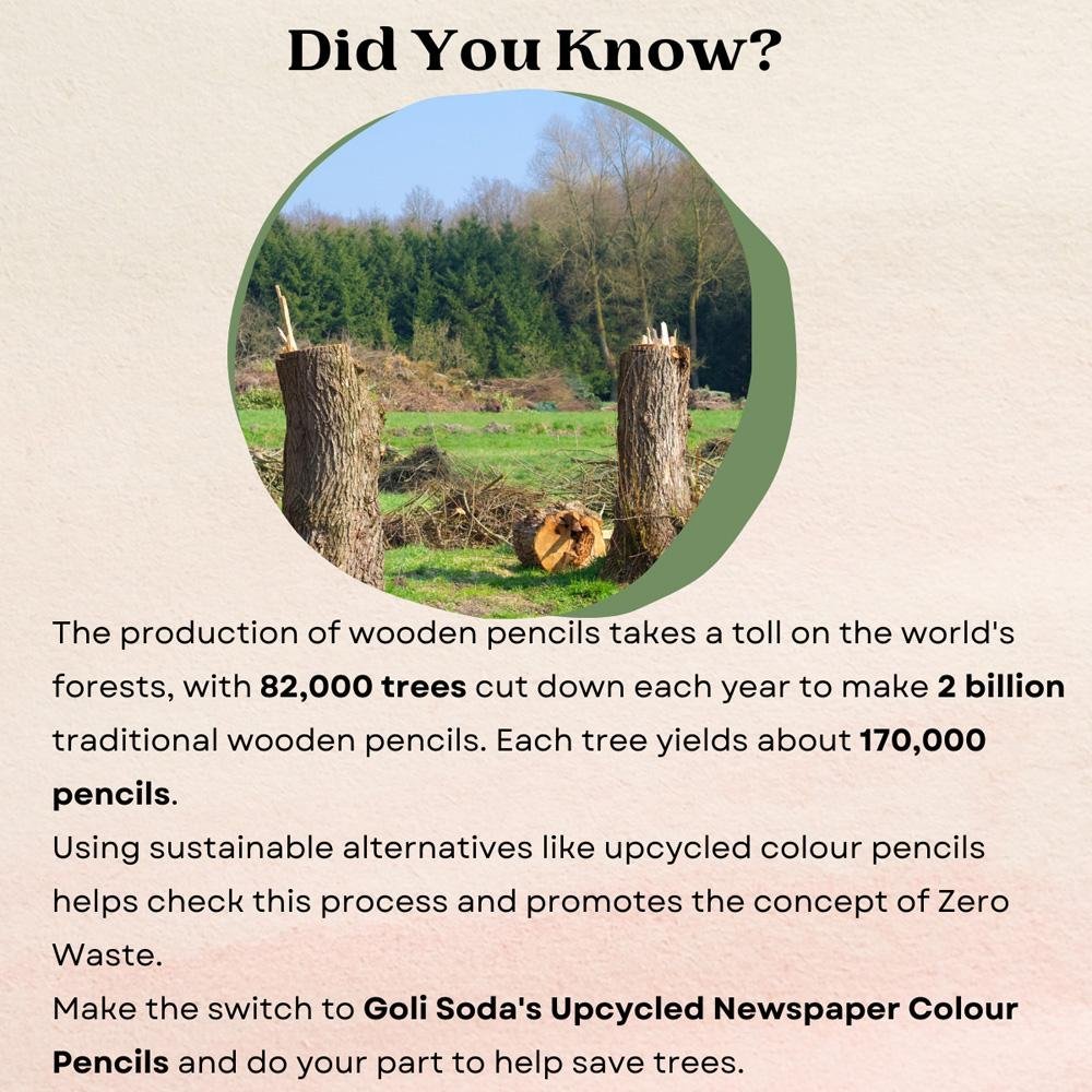 Newspaper Colour Pencils 10 Colours | Verified Sustainable by Brown Living™