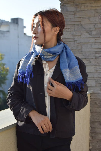 Nila Silk Stole in Banaras Hand Weave | Handwoven Silk Stole – Womens Scarf on Brown Living™. SKU: EKL_03. Img 1.