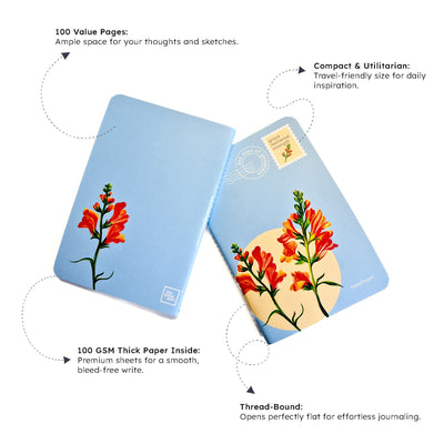Notebook | Blank | B6 size | 100 pages, 100 GSM paper | Amaryllis – Notebooks & Notepads on Brown Living™. SKU: B6NB01E. Img 3.