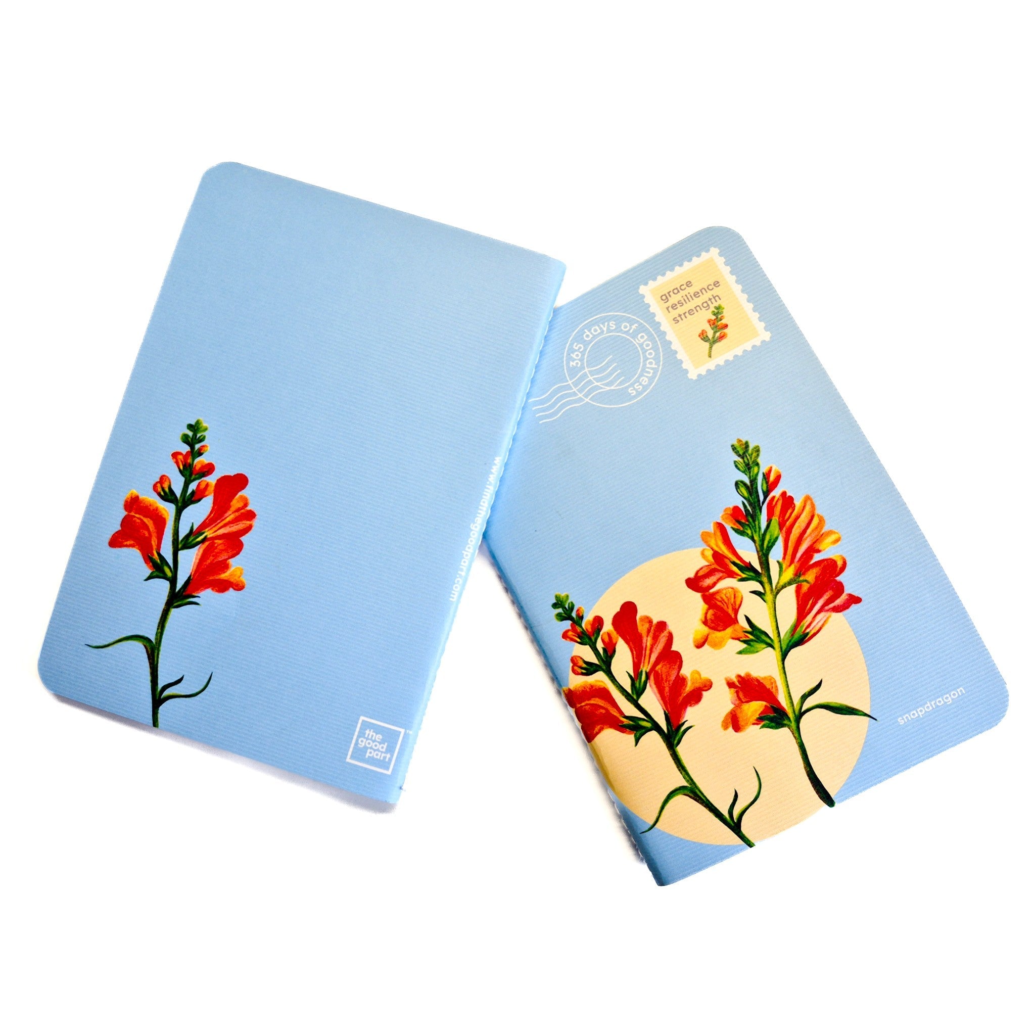 Notebook | Blank | B6 size | 100 pages, 100 GSM paper | Snapdragon – Notebooks & Notepads on Brown Living™. SKU: B6NB01F. Img 1.