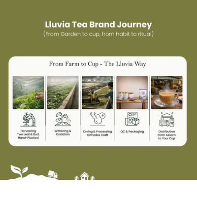 Oolong Tea – Boosts Energy, Weight Loss & Skin Health – 50g – Tea on Brown Living™. SKU: ROTTin50New. Img 7.