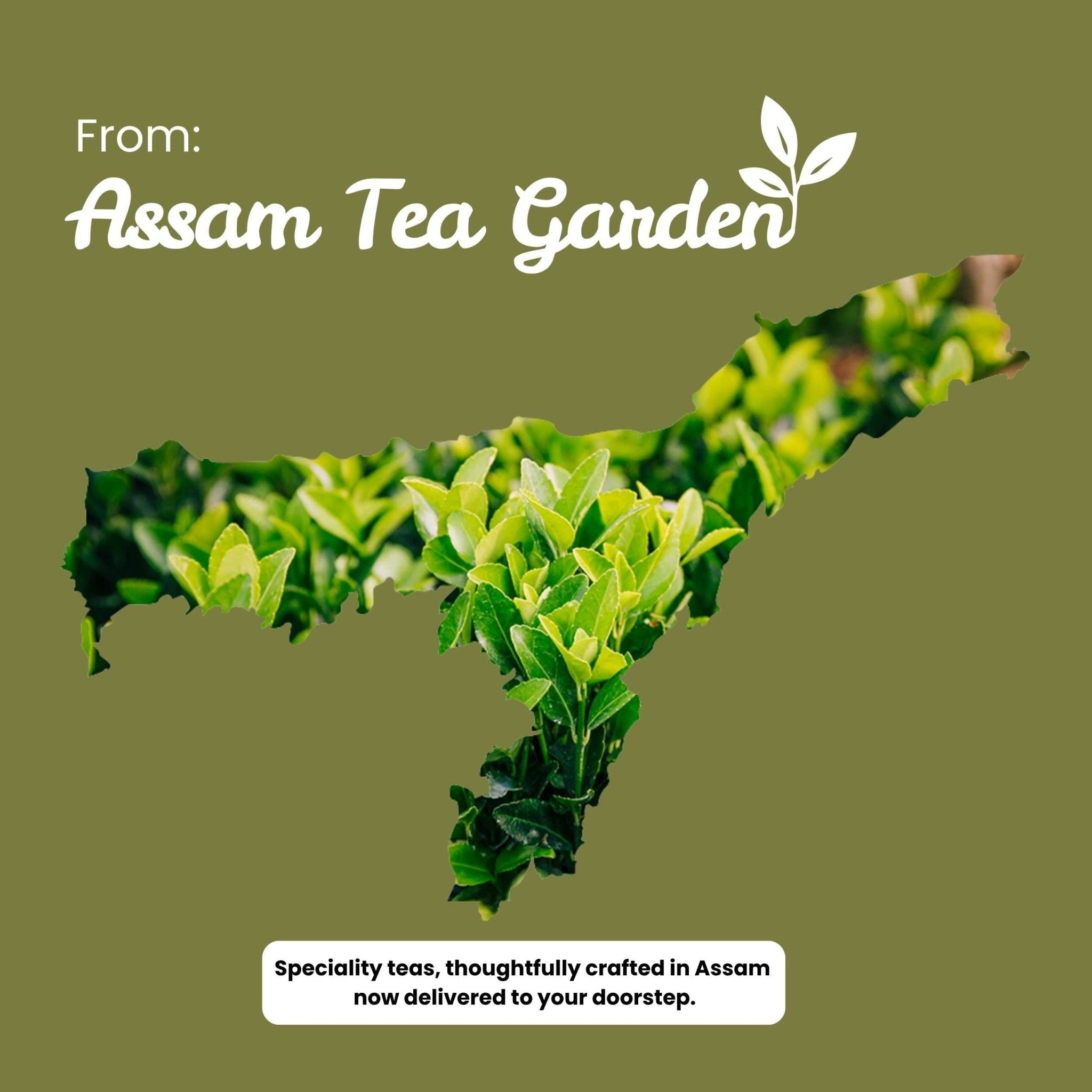 Oolong Tea – Boosts Energy, Weight Loss & Skin Health – 50g – Tea on Brown Living™. SKU: ROTTin50New. Img 10.