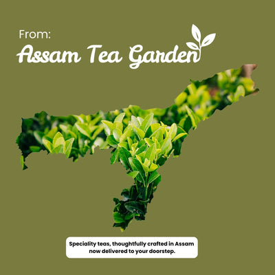 Oolong Tea – Boosts Energy, Weight Loss & Skin Health – 50g – Tea on Brown Living™. SKU: ROTTin50New. Img 10.