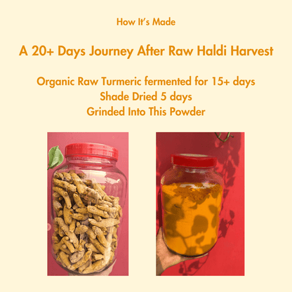 Organic Bio Turmeric Powder 150g | High Bioavailable Curcumin – Seasonings & Spices on Brown Living™. SKU: B0F6KW713Q. Img 3.