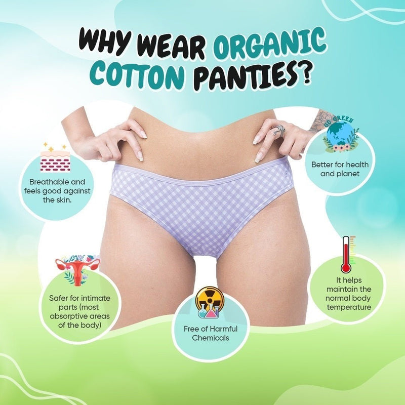 Organic Breathable Soft Cotton Undies - Bikini (Set of 3) | Verified Sustainable Womens Underwear on Brown Living™