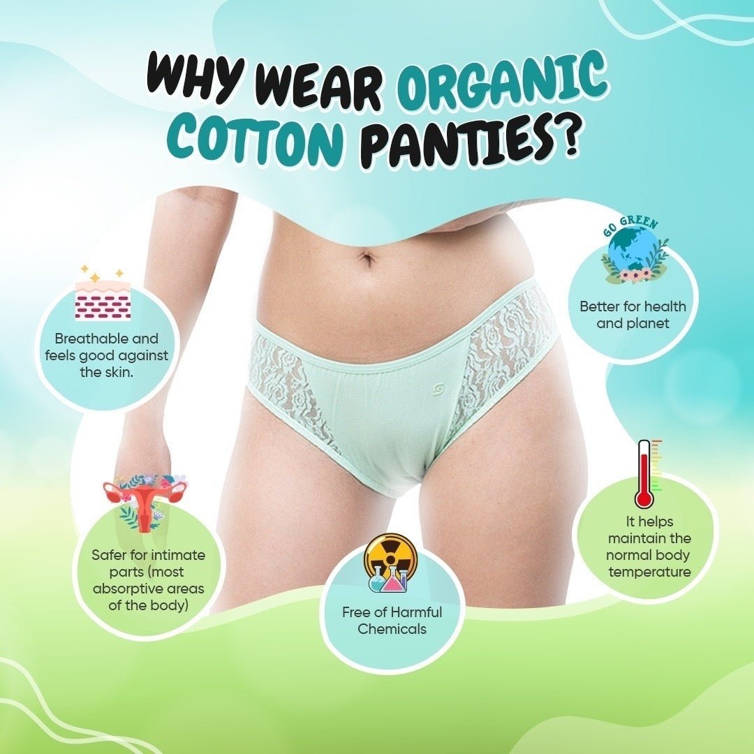 Organic Cotton Hipster Brief Set for Women (3 Pack) | Buy 1 Get 1 Free – Womens Underwear on Brown Living™. SKU: HIPL. Img 2.