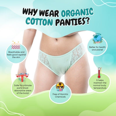 Organic Cotton Hipster Brief Set for Women (3 Pack) | Buy 1 Get 1 Free – Womens Underwear on Brown Living™. SKU: HIPL. Img 2.