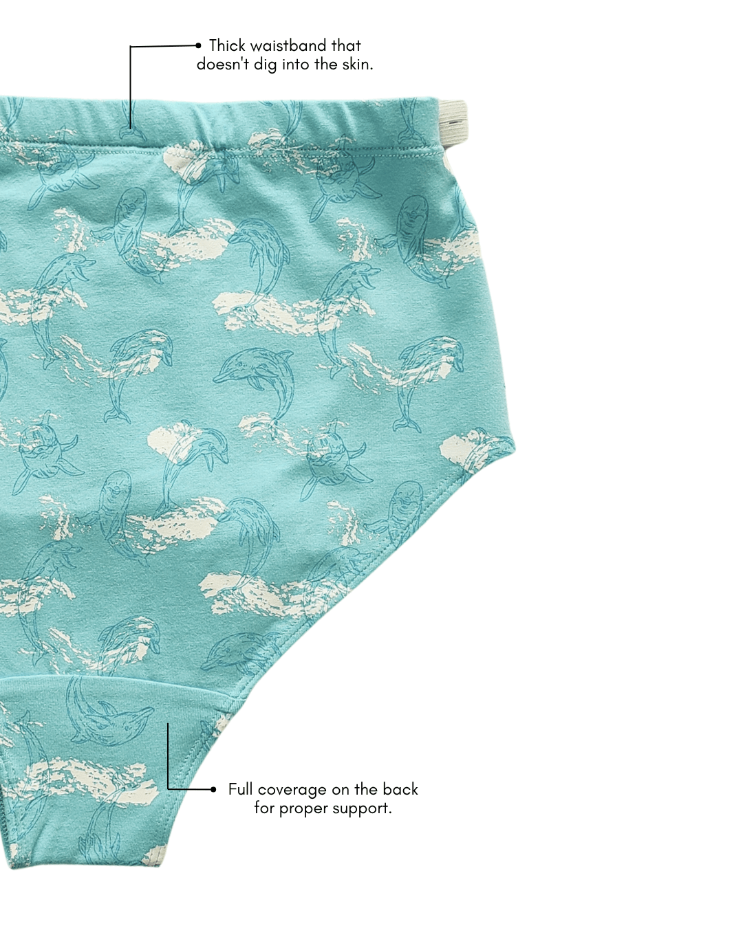 Organic Cotton Maternity Brief | Women’s Comfortable Innerwear – Womens Maternity Wear on Brown Living™. SKU: 005BABLUE_DOLPHAOP-S. Img 4.