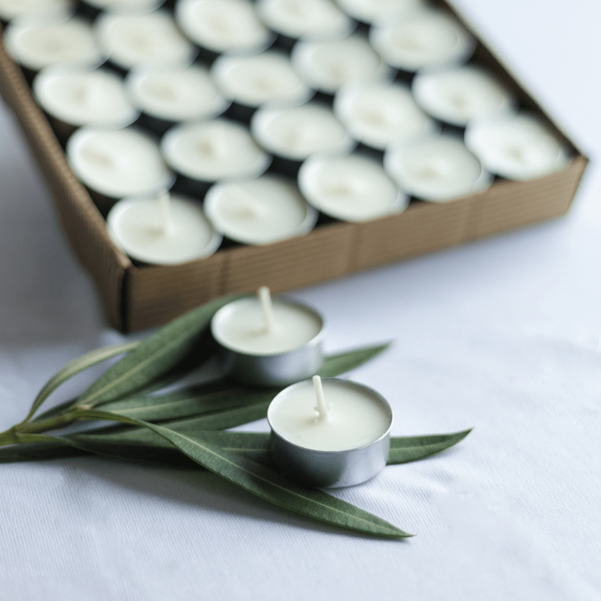 Organic Soy Wax Tea Lights – Set of 50 – Candles & Fragrances on Brown Living™. SKU: SN12120. Img 1.