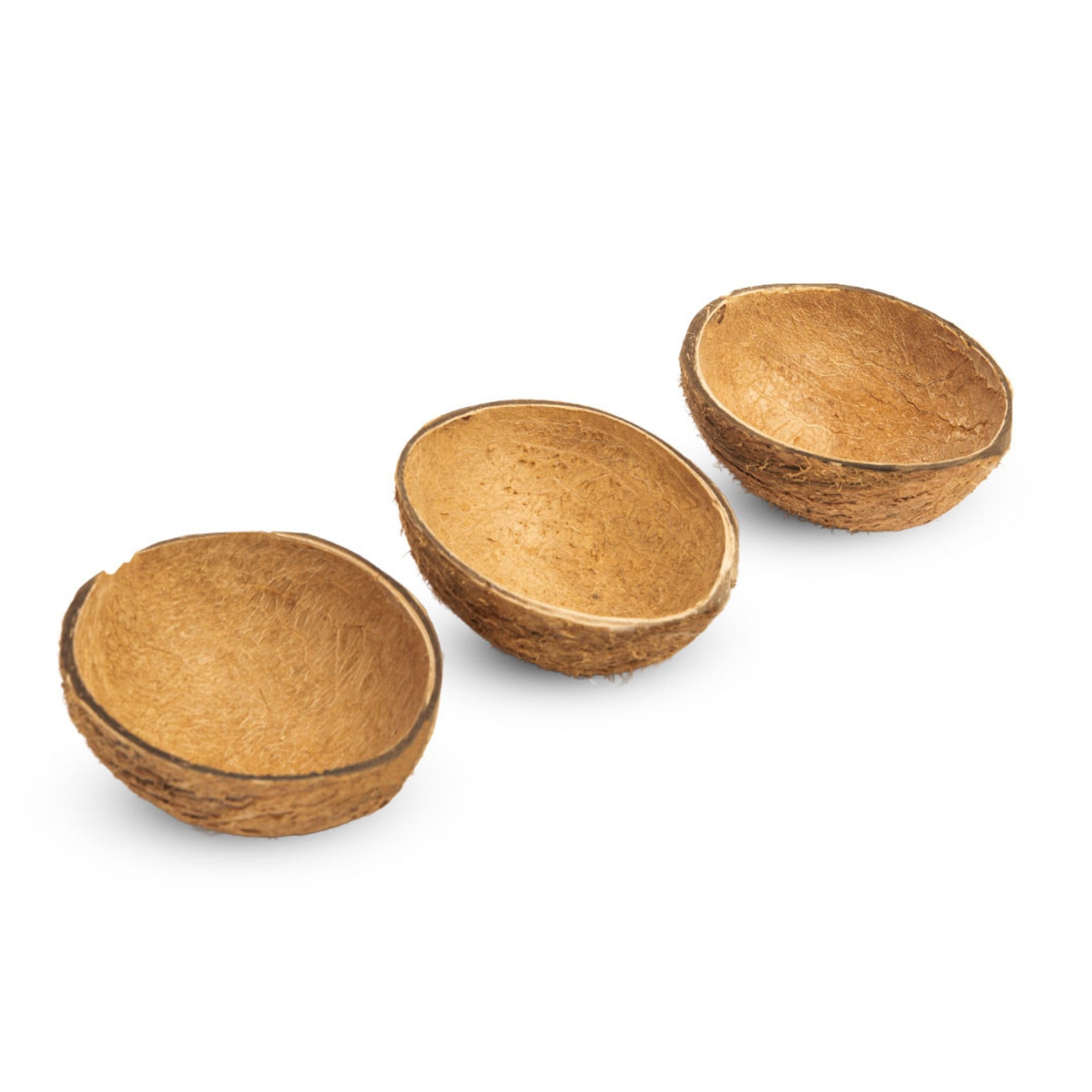 Oval Raw Coconut Shell Bowls (Pack of 15 | 150ml) – Plates & Bowls by Thenga available on Brown Living™. . SKU: TGAOVLRWSHL - 15. Img 3.