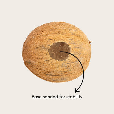 Oval Raw Coconut Shell Bowls (Pack of 15 | 150ml) – Plates & Bowls on Brown Living™. SKU: TGAOVLRWSHL - 15. Img 4.