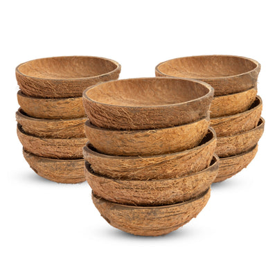 Oval Raw Coconut Shell Bowls (Pack of 15 | 150ml) – Plates & Bowls on Brown Living™. SKU: TGAOVLRWSHL - 15. Img 1.
