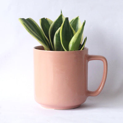 PadmaRecycled Ceramic Desk Planter with holder – Pots & Planters on Brown Living™. SKU: ET - CT - DP - PD. Img 2.