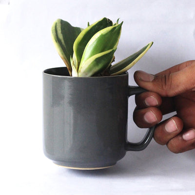 Pashan Recycled Ceramic Desk Planter with holder – Cups & Saucers on Brown Living™. SKU: ET - CT - DP - PS. Img 1.