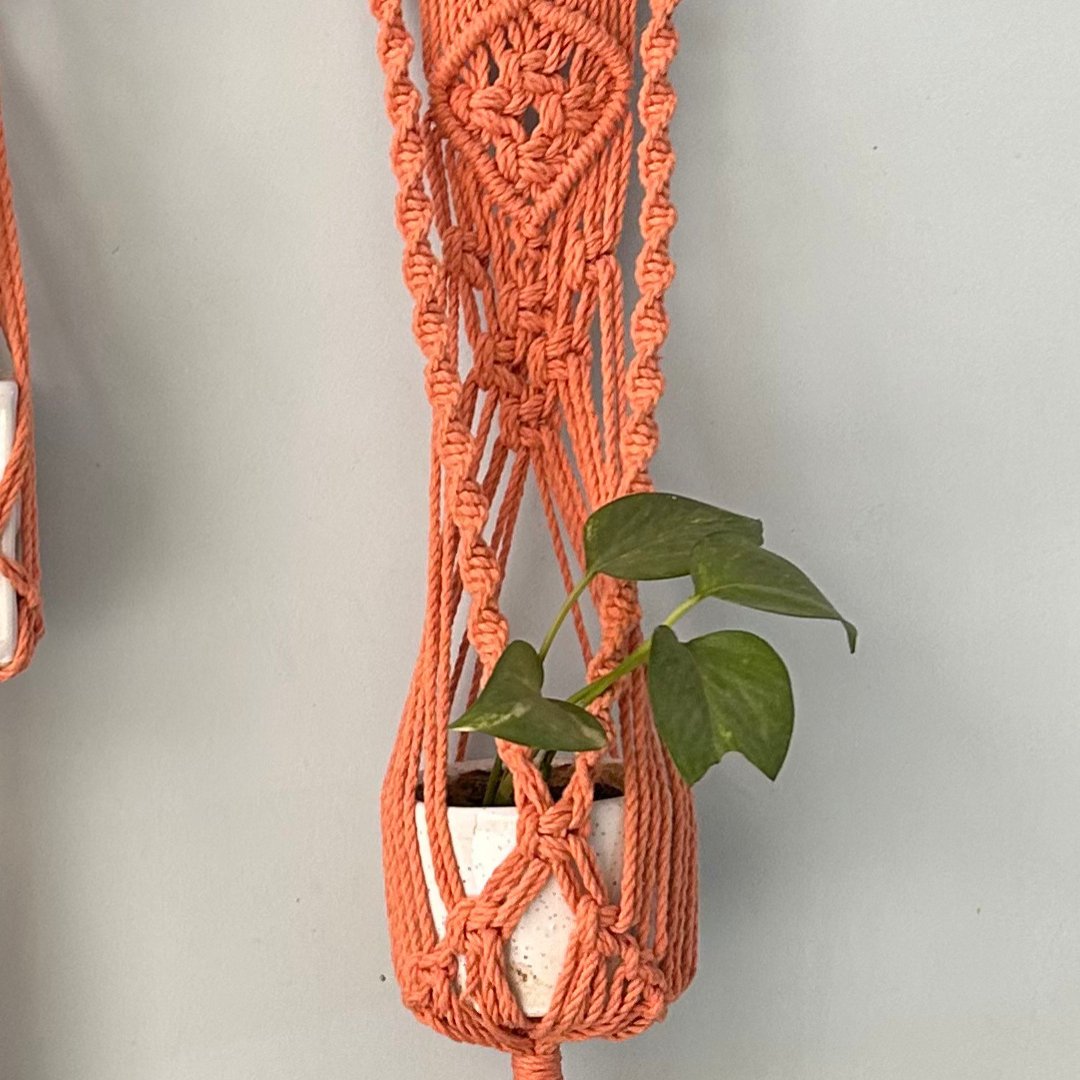 Peach Macrame Plant Holder - Set of 2 | Verified Sustainable by Brown Living™