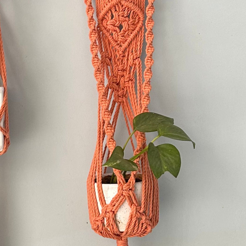 Peach Macrame Plant Holder - Set of 2 | Verified Sustainable Pots & Planters on Brown Living™