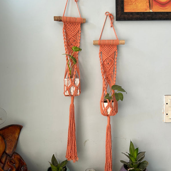 Peach Macrame Plant Holder - Set of 2 | Verified Sustainable Pots & Planters on Brown Living™