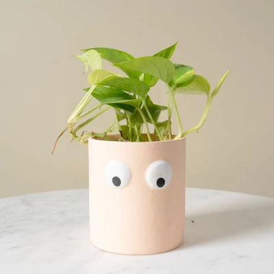 Peach Muse Face Planter Set of 2 | Decorative Planters – Ceramic Planter on Brown Living™. SKU: D-475. Img 2.