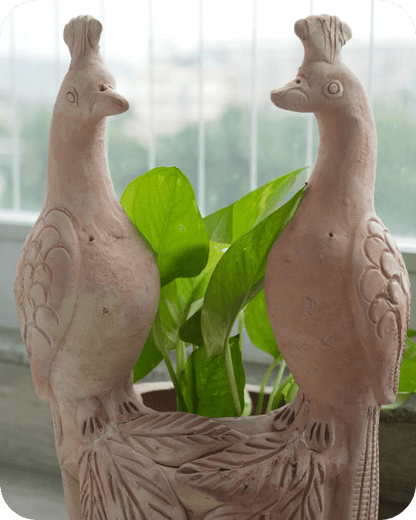 Peacock Earthen Planter – Pots & Planters by Swadeh available on Brown Living™. . SKU: A0_plt_0055n. Img 4.