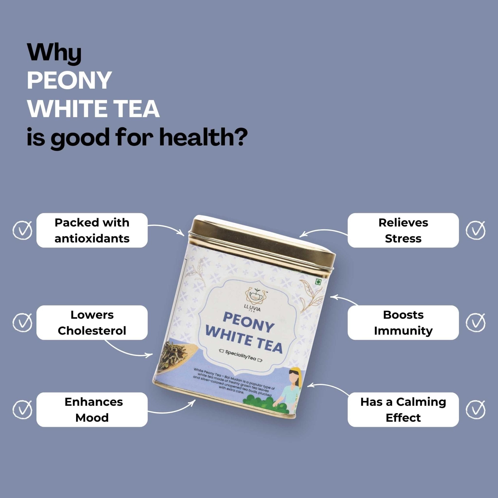 Peony White Tea – Weight Loss & Blood Circulation – 50g – Tea on Brown Living™. SKU: TTTin50New. Img 5.