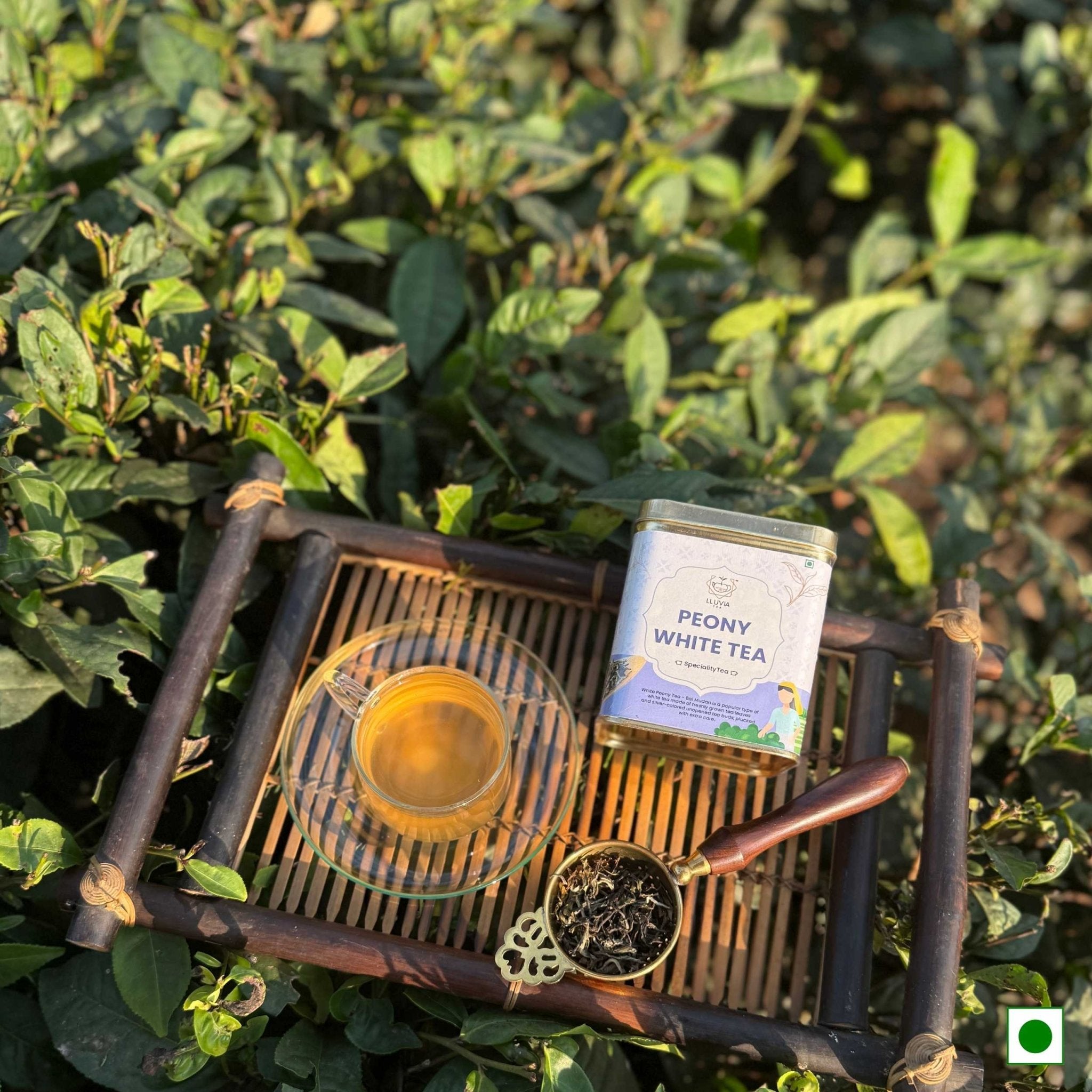 Peony White Tea – Weight Loss & Blood Circulation – 50g – Tea on Brown Living™. SKU: TTTin50New. Img 10.