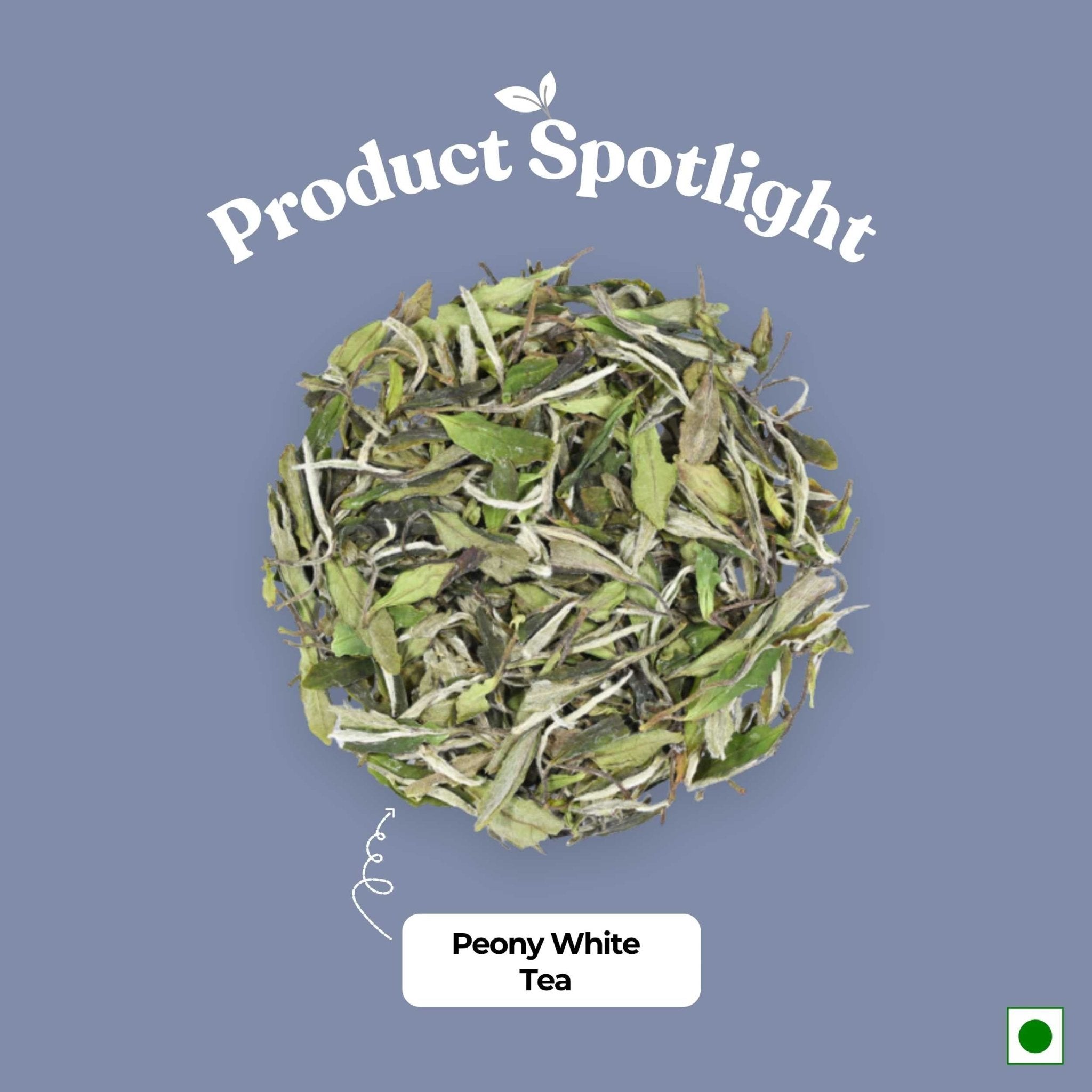 Peony White Tea – Weight Loss & Blood Circulation – 50g – Tea on Brown Living™. SKU: TTTin50New. Img 2.