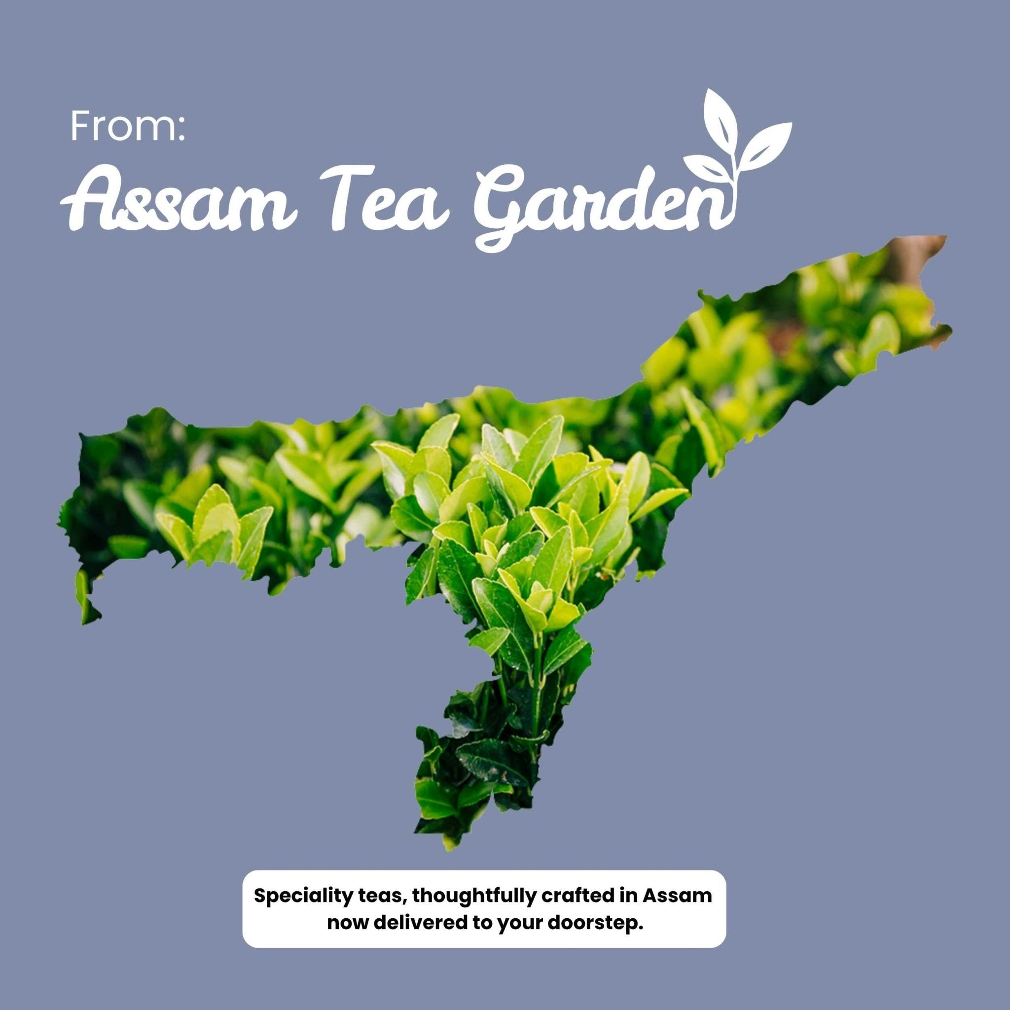 Peony White Tea – Weight Loss & Blood Circulation – 50g – Tea on Brown Living™. SKU: TTTin50New. Img 11.