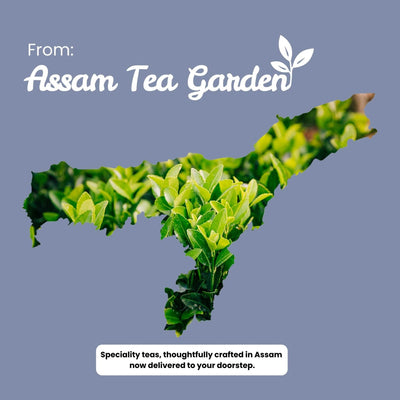 Peony White Tea – Weight Loss & Blood Circulation – 50g – Tea on Brown Living™. SKU: TTTin50New. Img 11.