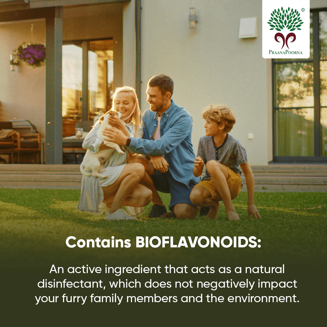 Pet care hamper| Chemical Free Essentials – Pet Grooming Supplies on Brown Living™. SKU: SKU_K01. Img 16.