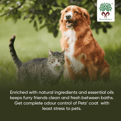 Pet care hamper| Chemical Free Essentials – Pet Grooming Supplies on Brown Living™. SKU: SKU_K01. Img 15.