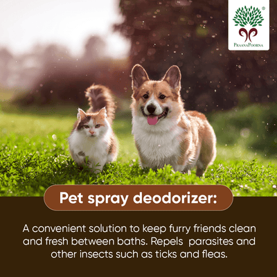 Pet care hamper| Chemical Free Essentials – Pet Grooming Supplies on Brown Living™. SKU: SKU_K01. Img 12.