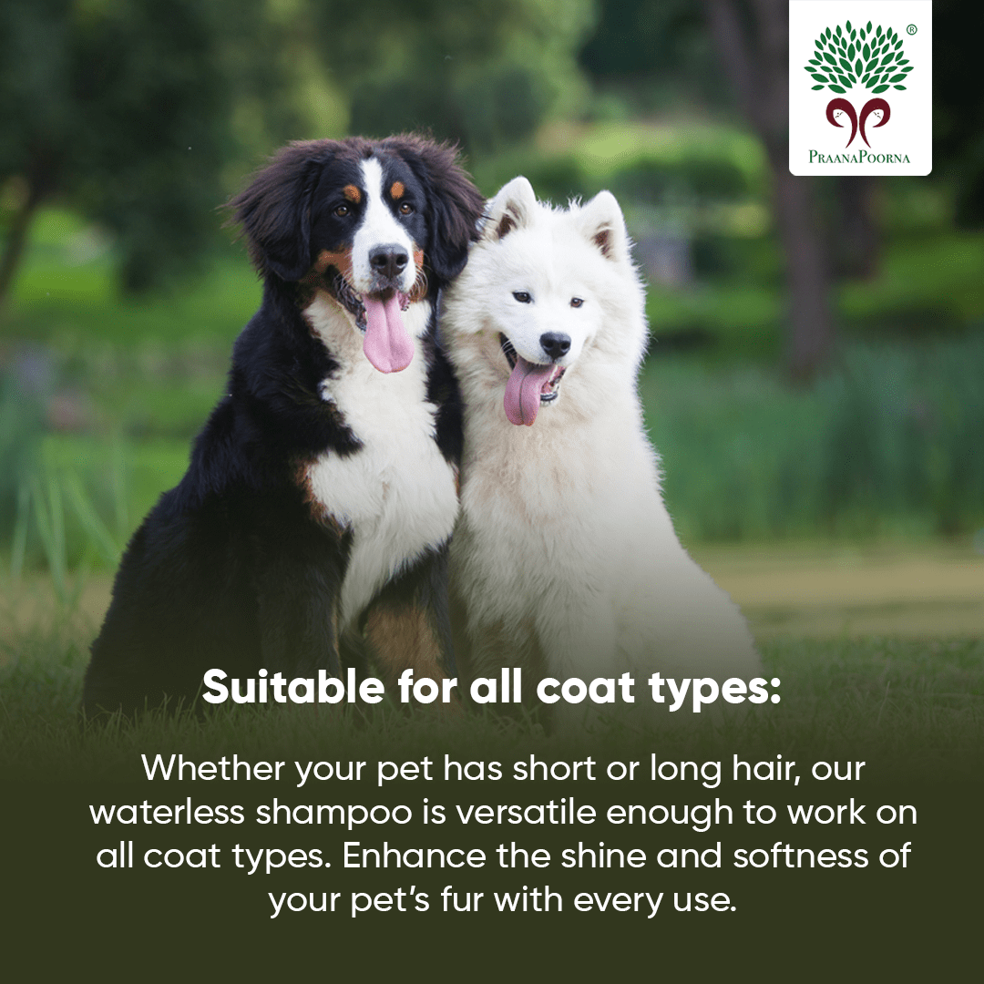 Pet care hamper| Chemical Free Essentials – Pet Grooming Supplies on Brown Living™. SKU: SKU_K01. Img 17.