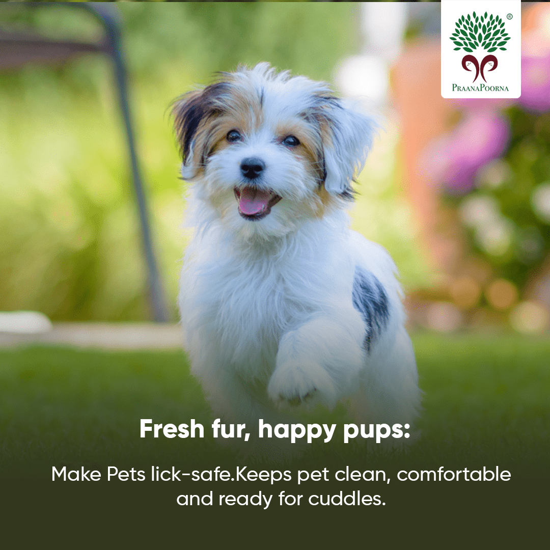 Pet care hamper| Chemical Free Essentials – Pet Grooming Supplies on Brown Living™. SKU: SKU_K01. Img 14.