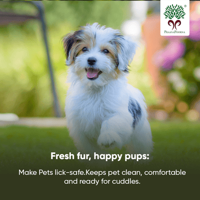 Pet care hamper| Chemical Free Essentials – Pet Grooming Supplies on Brown Living™. SKU: SKU_K01. Img 14.