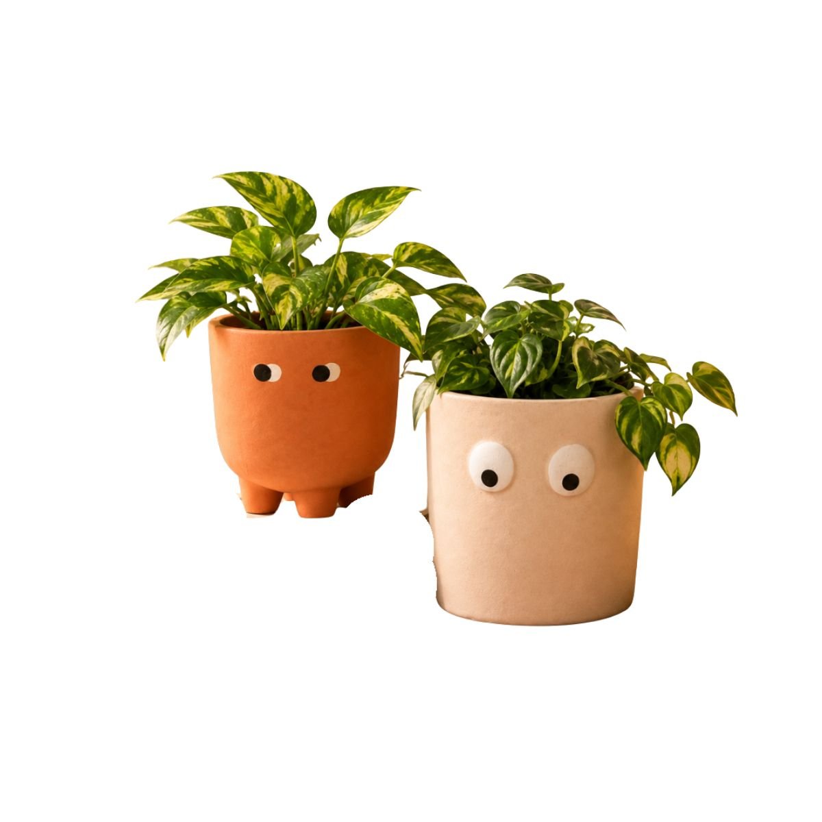 Petite Face Planter Set of 2 | Orange & White Decorative Planters – Ceramic Planter on Brown Living™. SKU: D-483. Img 2.
