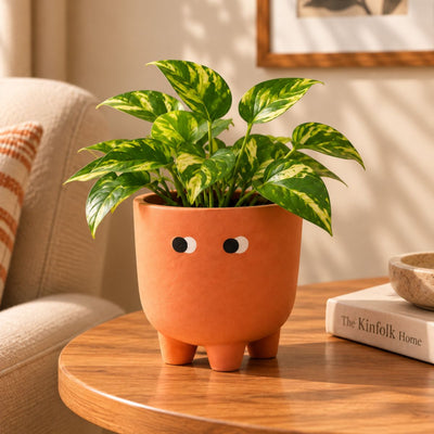 Petite Face Planter Set of 2 | Orange & White Decorative Planters – Ceramic Planter on Brown Living™. SKU: D-483. Img 4.