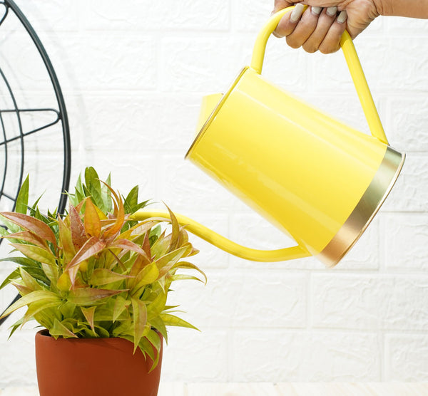 Plant Watering Can | Garden Accessories - Yellow (1.5 Lt) | Verified Sustainable by Brown Living™