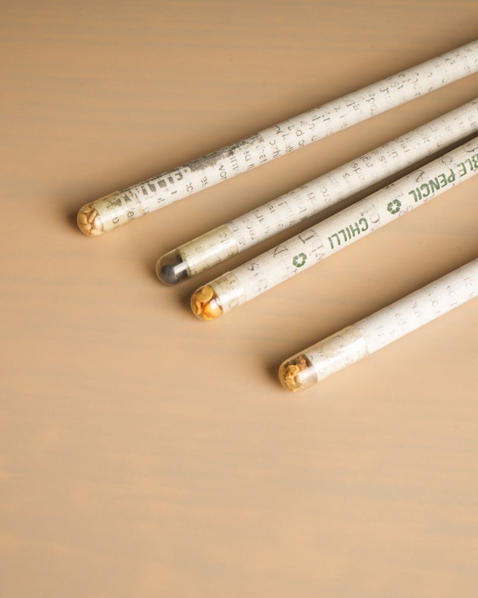 Plantable Seed Pencils | Eco - friendly Stationery | Set of 3 | Verified Sustainable by Brown Living™