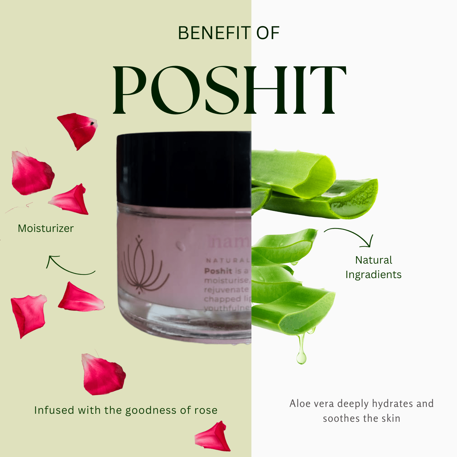 Poshit Gulaab Aloevera Gel - 50 gm – Face Lotion on Brown Living™. SKU: NM-PG-100-NL. Img 3.