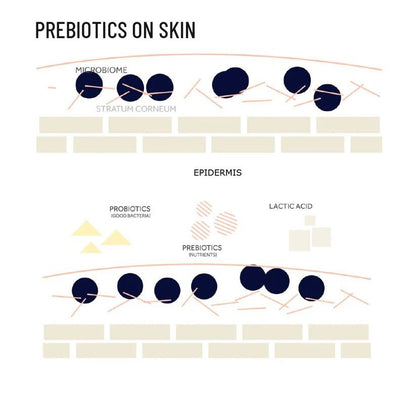 Prebiotic Orange Wash (Hair/Face/Body) – Body Wash on Brown Living™. SKU: PRTIOR250L. Img 4.