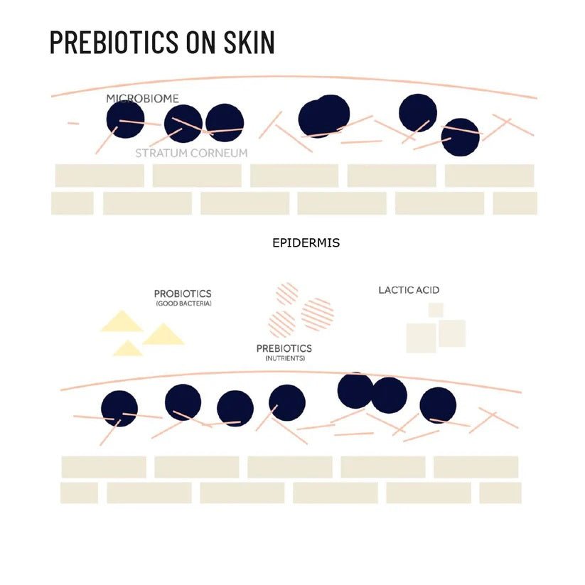 Prebiotic Orange Wash (Hair/Face/Body) – Body Wash on Brown Living™. SKU: PRTIOR250L. Img 4.