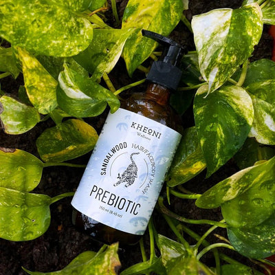 Prebiotic Sandalwood | 3 - in - 1 Hair, Face & Body Wash – Body Wash on Brown Living™. SKU: PRTISA250L. Img 5.