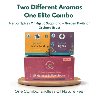 Premium Botanical Car Aroma Potli | Mystic Sugandha & Fig Fog | Pack of 2 – Fragrance Diffusers on Brown Living™. SKU: BLP2001-MSFF. Img 3.