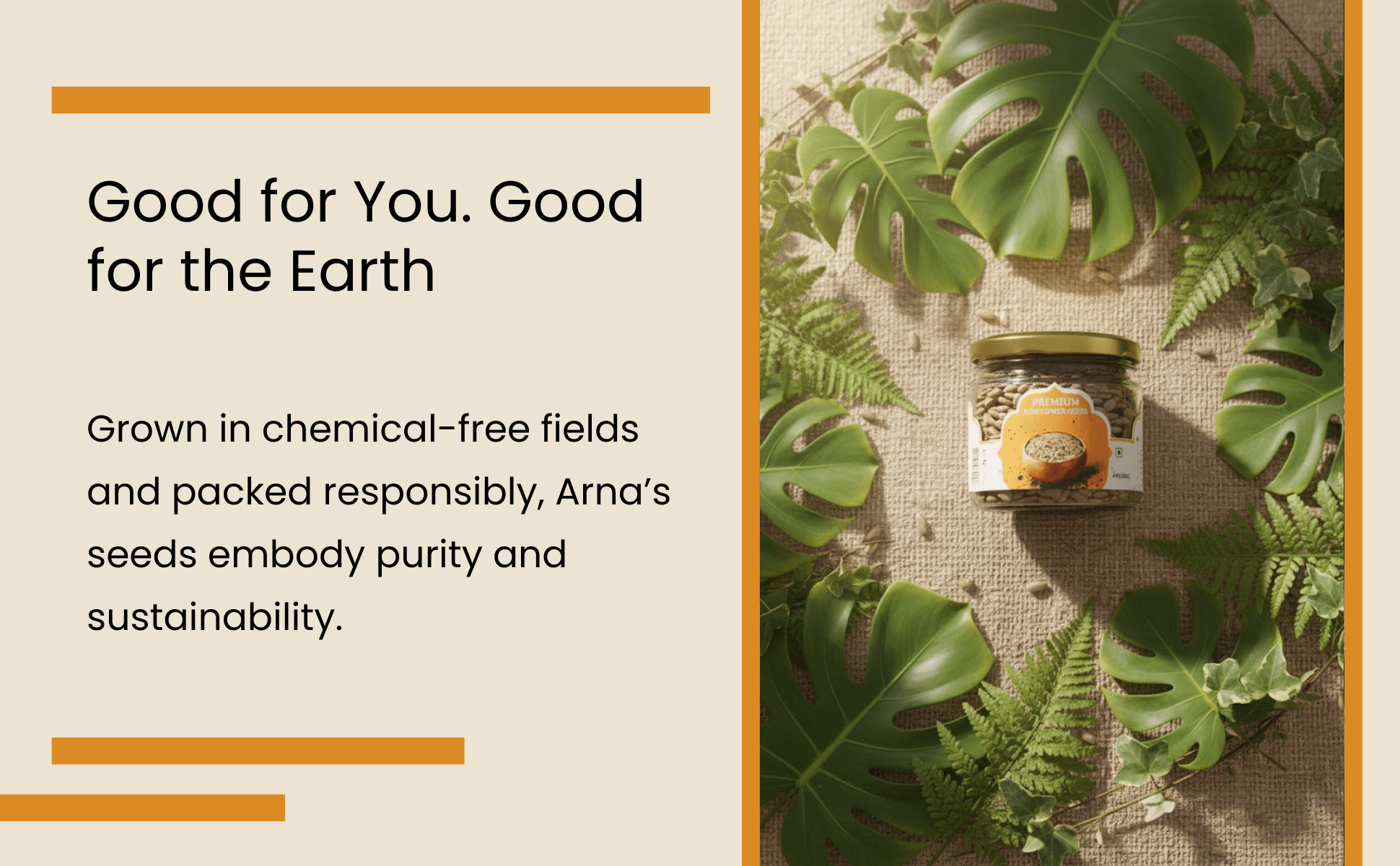 Premium Sunflower Seeds 200g | Pure Natural Protein Seeds – Dried Fruits, Nuts & Seeds on Brown Living™. SKU: ARNAS-3. Img 9.