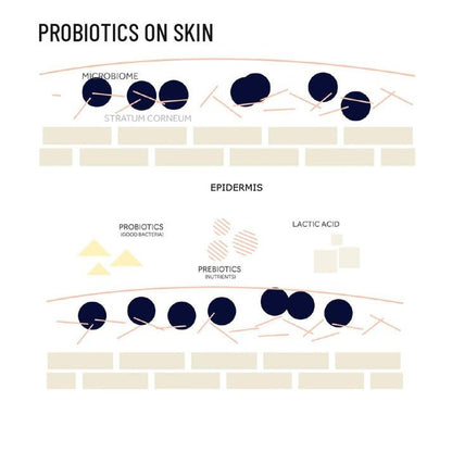 Probiotic Active Body Lotion – Body Lotion on Brown Living™. SKU: PRBLPR250L. Img 4.