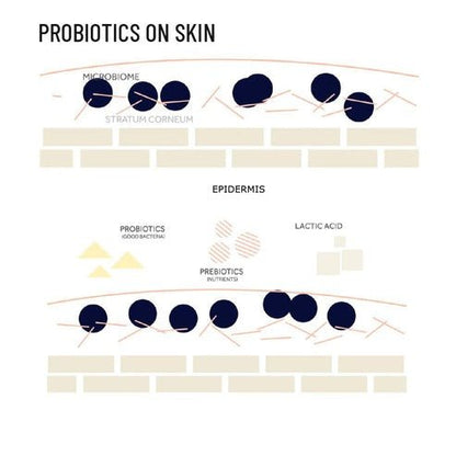 Probiotic Active Conditioner | Natural Conditioner for Hair – Hair Conditioner on Brown Living™. SKU: PRCOPR250L. Img 4.