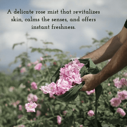 Pure Rose Water Mist | Natural Hydrating & Refreshing Facial Toner – Face Cleanser on Brown Living™. SKU: FFRWCW100L. Img 2.